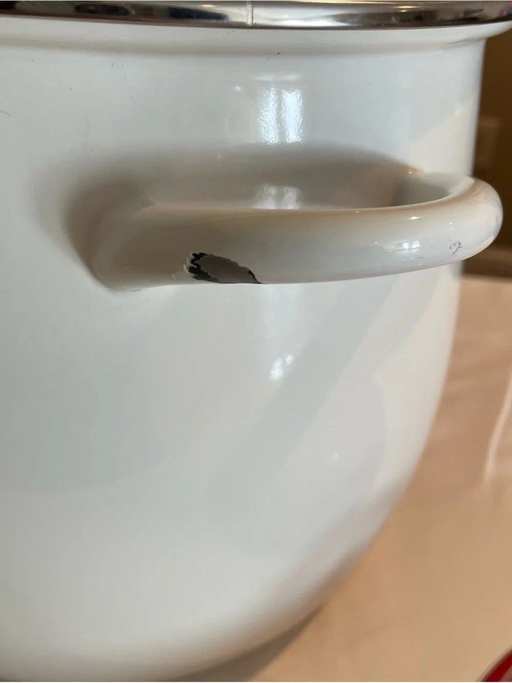 The Pioneer Woman Wishful Winter 12 Quart Stockpot